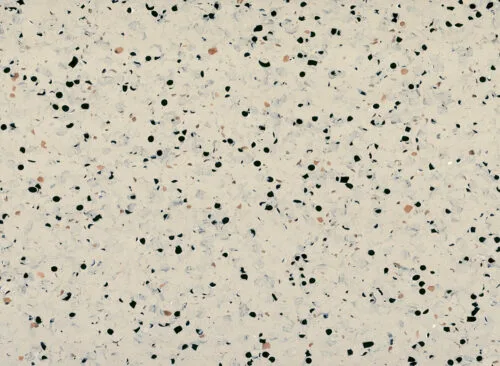 0353 Beige