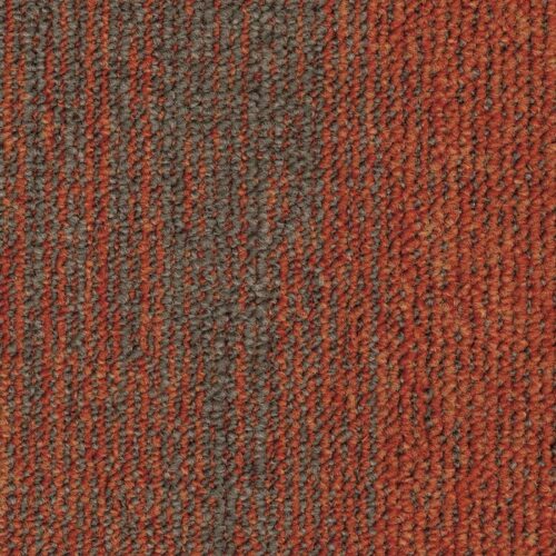 5012 EssenceStructure